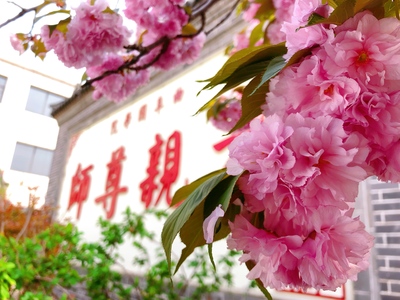 微信图片_202004131557543.jpg