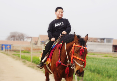 微信图片_20190403162317_副本.jpg