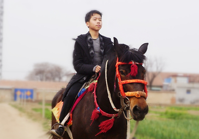 微信图片_20190403162348_副本.jpg